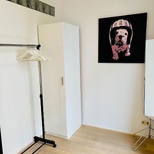 Uitgebreid Appartement met een Slaapkamer